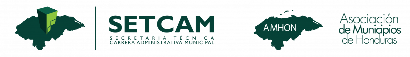 AVSETCAM
