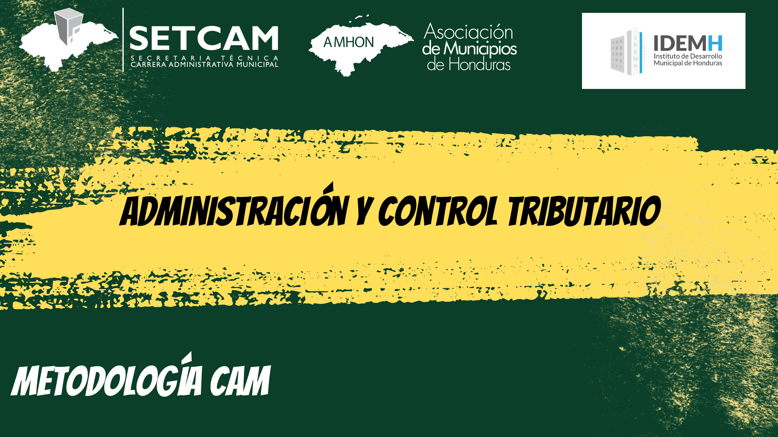 Diplomado Administración y Control Tributario 
